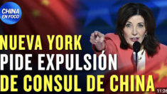 Arrestan a espía china y Nueva York piden expulsión de cónsul chino